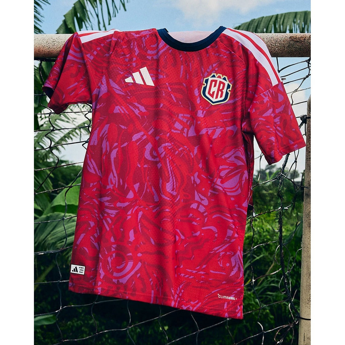 image-5